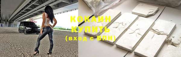 соль ск Лиски