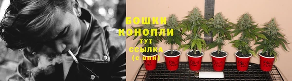 соль ск Лиски