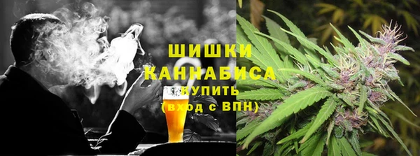 соль ск Лиски