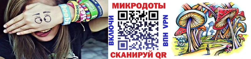 Псилоцибиновые грибы Psilocybe Емва